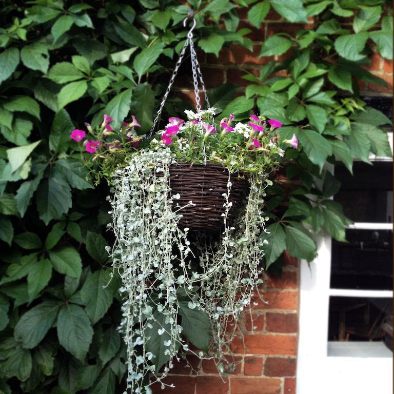 Bed and Breakfast The Hundred Of Ashendon Waddesdon Esterno foto